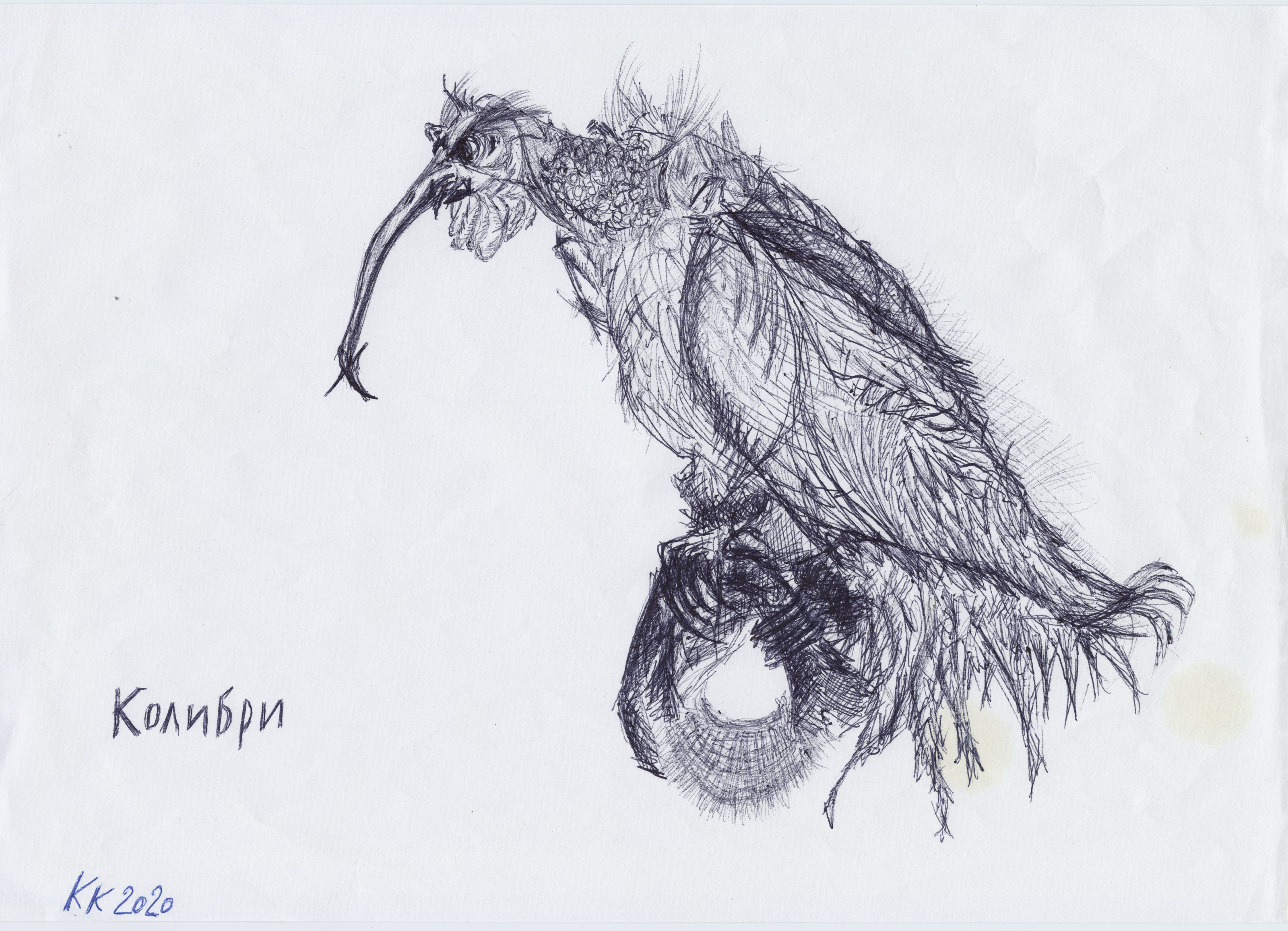 The Hummingbird